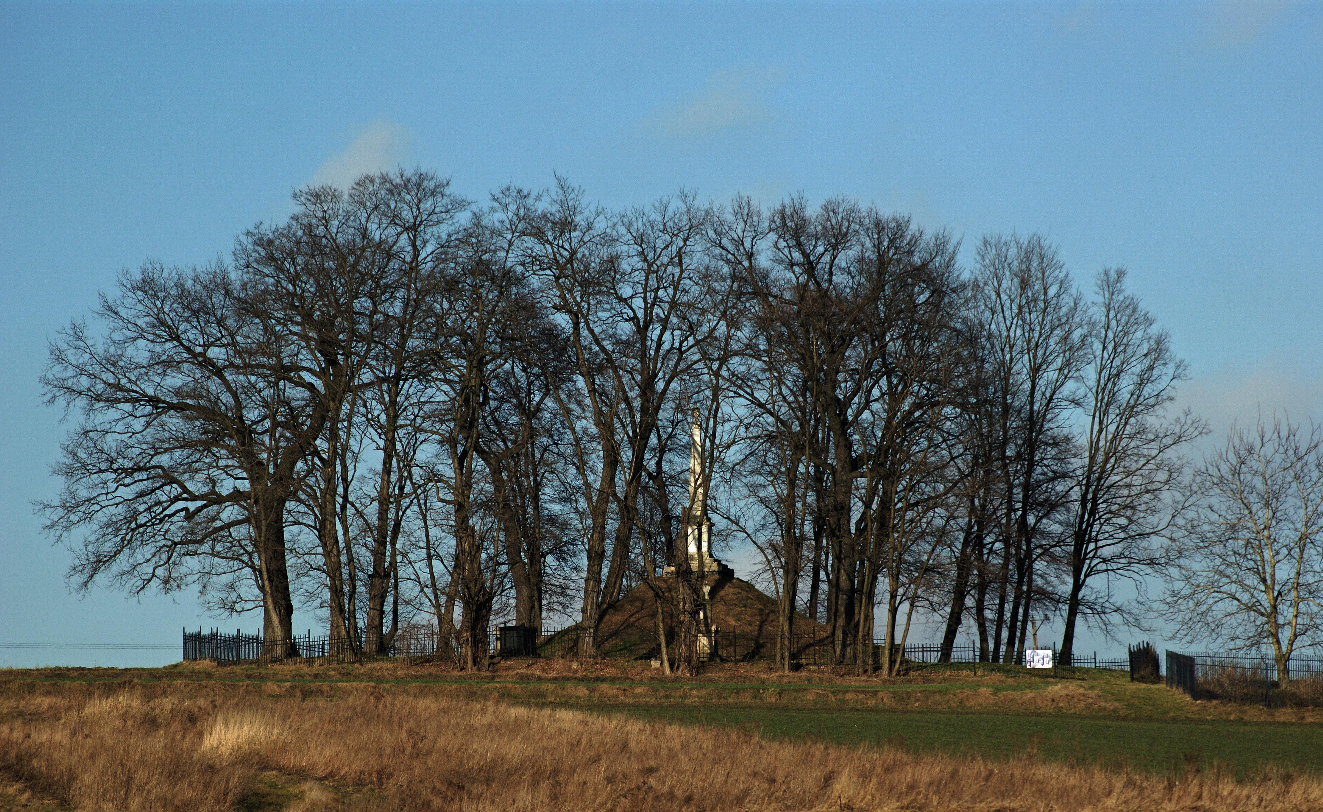 Cmentarz ewangelicki w Luczanowicach